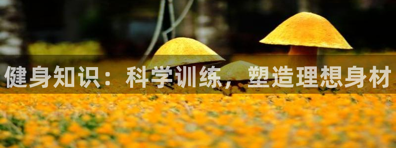 龙8国际官网老虎机
