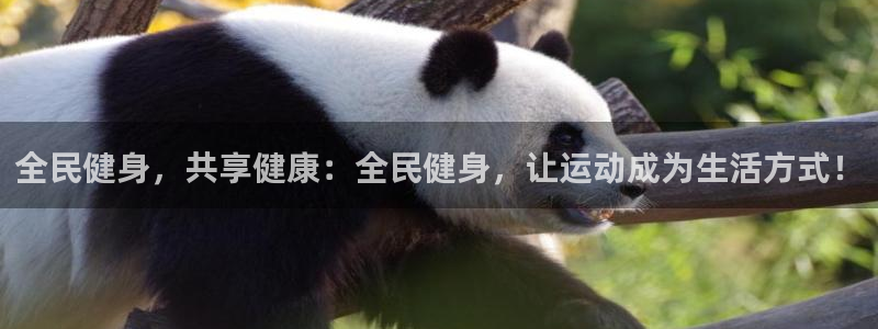 龙8国际官网-点此进入