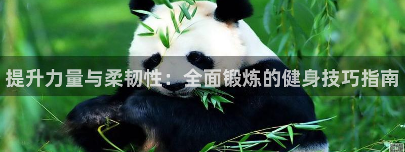 龙8国际唯一官网手游登录入口