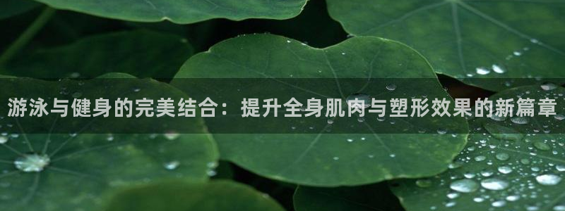 龙8游戏官方网站s