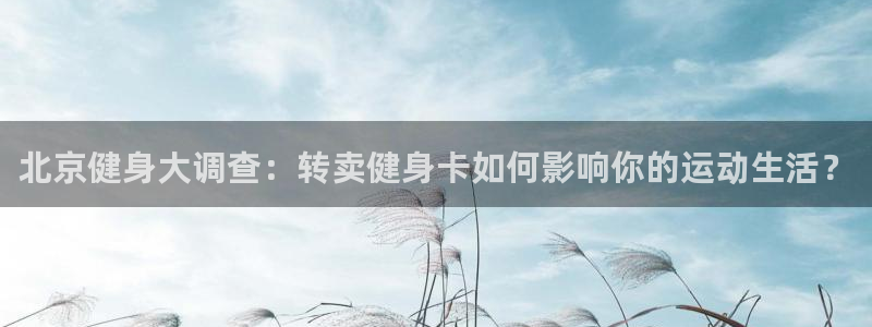 龙8国际网址