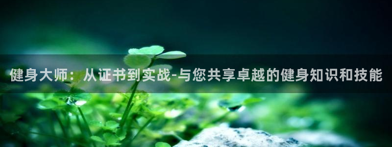 龙8国际游戏官方网站