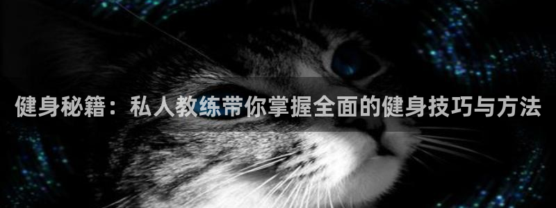 龙8游戏城网址