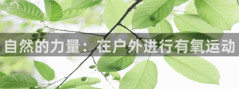 龙8国际唯一官网官方版
