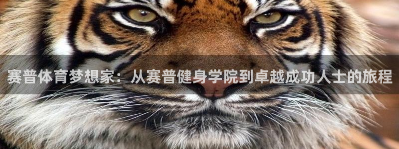 龙8国际总代理
