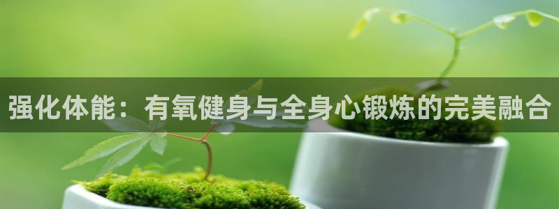 龙8国际手机游戏官网版