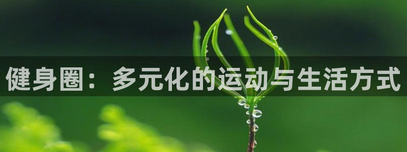 龙8国际在线