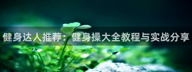 龙8老虎机手机版