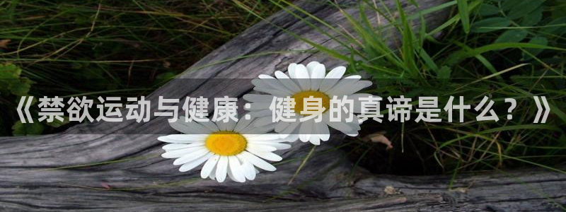 龙8游戏官方进入