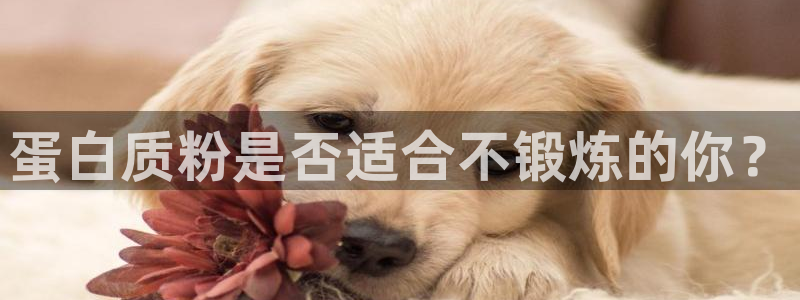 龙8国际官网版