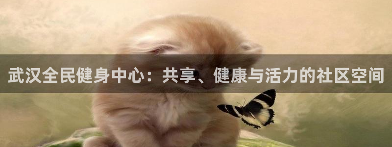 龙8国际游戏娱乐