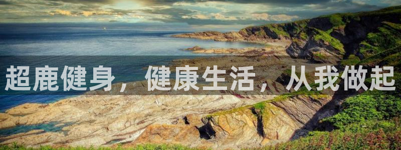龙8国际官网 点此进入游戏