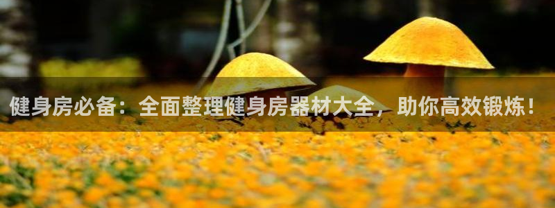 龙八棋牌