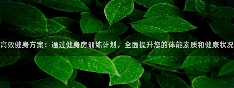 龙8国际手机官网下载