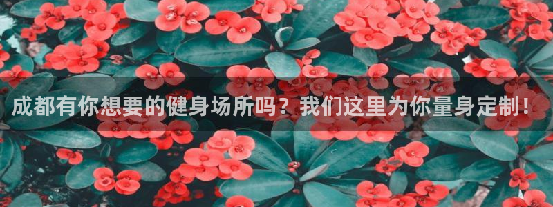 龙八国际服官网站