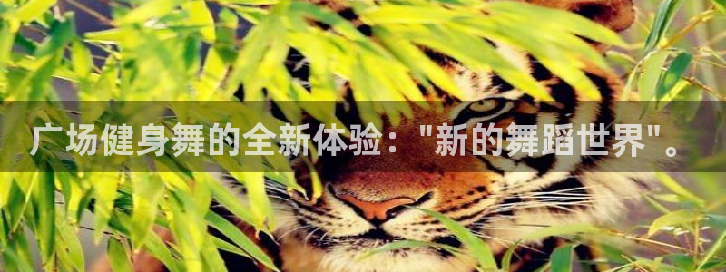 龙8国际long88(中国)官方网站