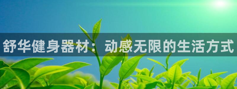 国际龙8hk