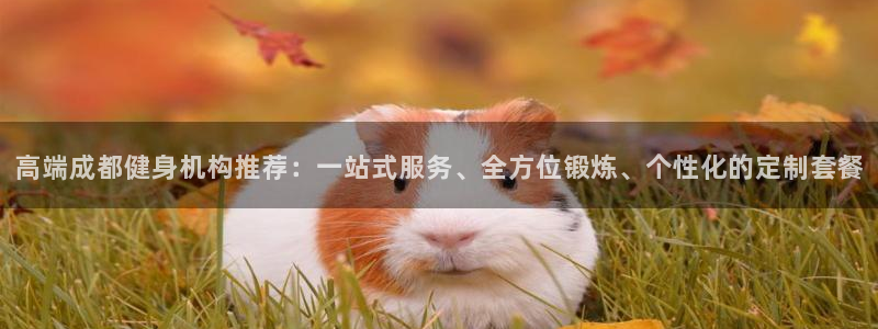 龙8国际官网正版