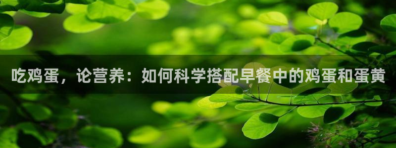 龙八国际app客户端下载