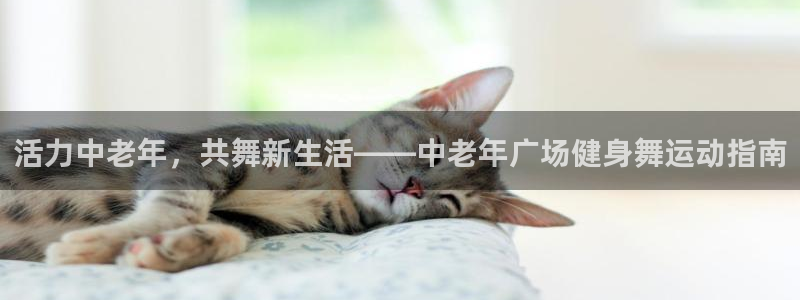 龙8国际头号玩家下载
