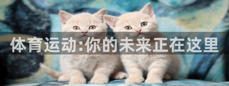 龙8游戏官方网站登录