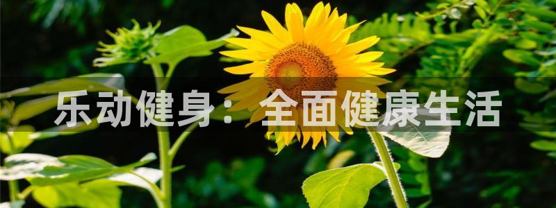 龙8国际为啥改名叫头号玩家了呢