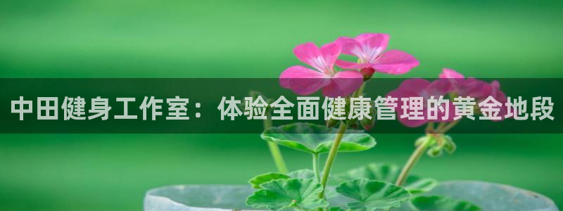 龙8国际安卓版