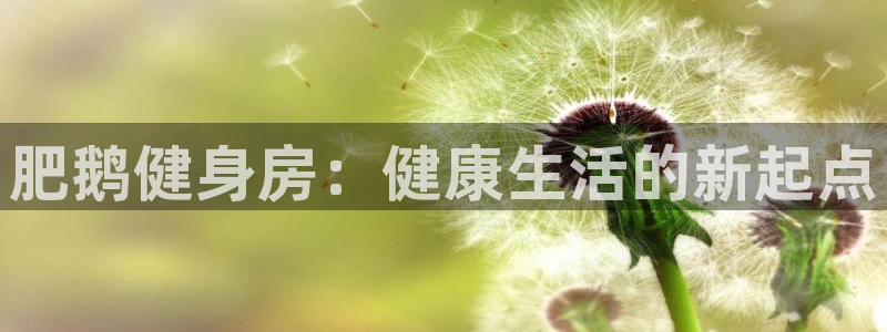 龙8国际游戏官网