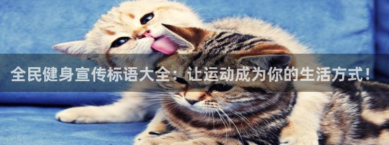 龙8国际官网-手机点此进入