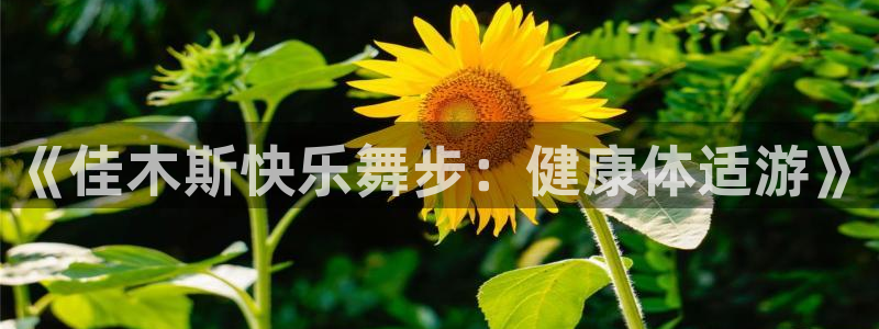 龙8官网在线试玩