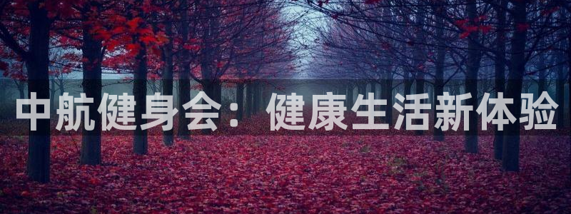 龙八国际登录密码