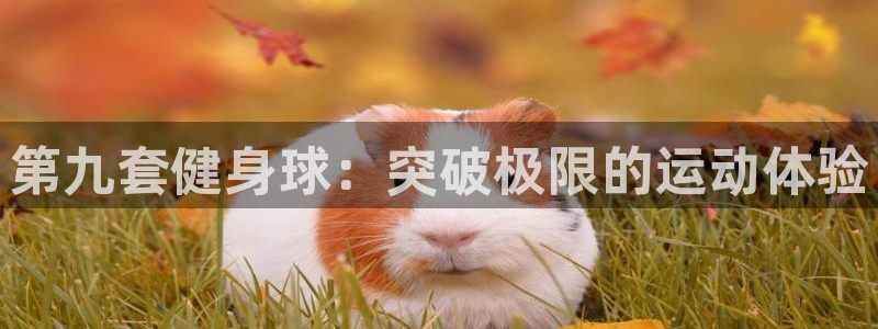 龙八国际官方网站app登录