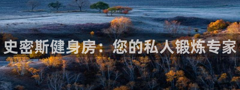 龙8国际平台登录