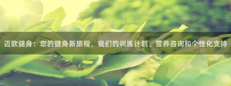 龙8国际唯一官网手游登入口