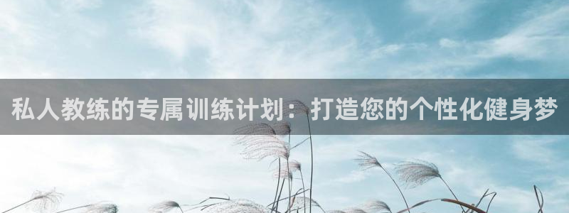 龙8国际官网版