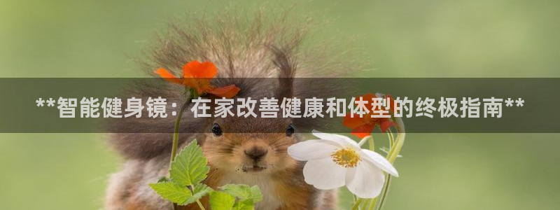 龙8游戏国际登录