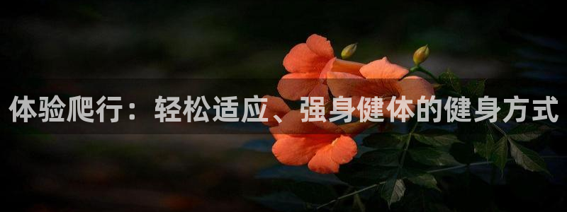 龙8国际官网手机登录