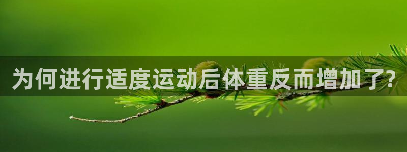 龙8国际官网版最新版下载