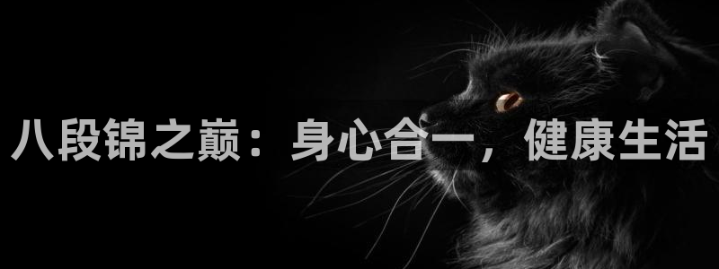 龙8国际官方网站手机版