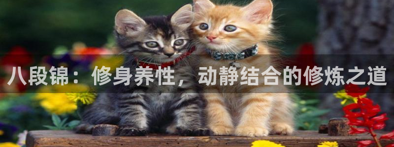 龙8国际网址多少