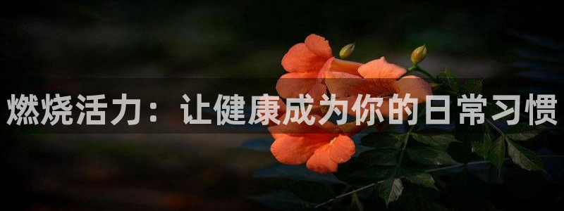 龙8国际龙8客户端