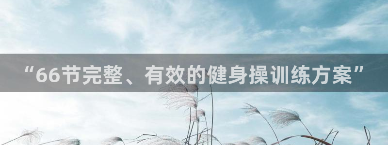 龙8国际是真的吗