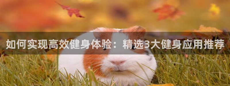 龙8头号玩家游戏官方进入