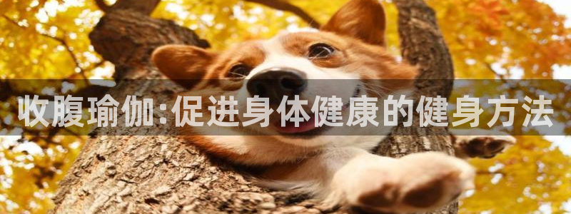 龙8国际网址是什么