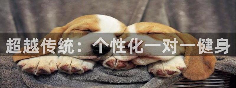 龙8国际官网版玩法