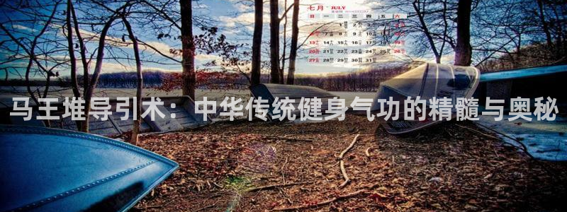 龙八国际下载链接