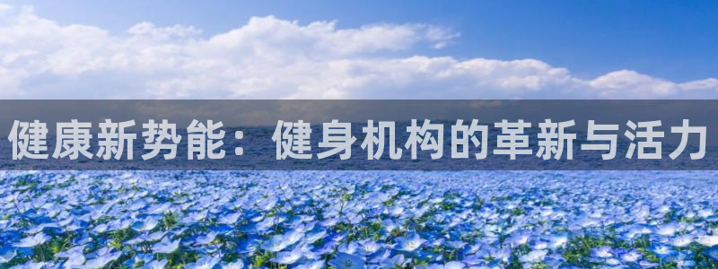 龙8国际网页版下载