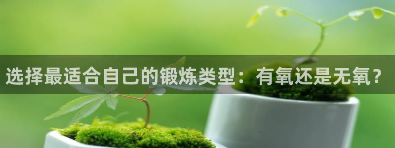 龙8国际手机版官网下载