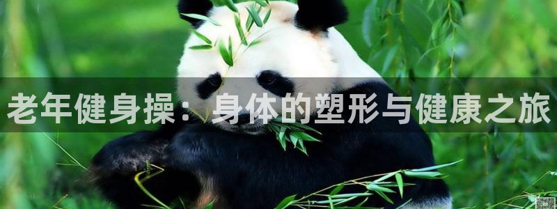 龙8国际pt官方网址