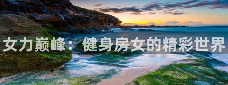 龙8国际app客户端下载不了